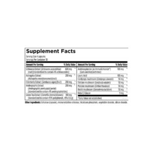 Designs for Health Immunitone Plus label