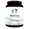 Designs for Health WheyCool™ Chocolate