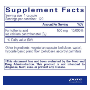 Pantothenic Acid - Image 2